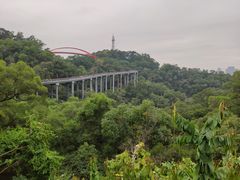 -金鸡山公园