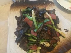 -蘑统田下·野生菌火锅