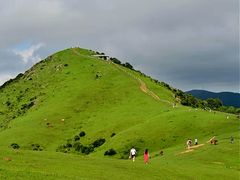 -大姆山草场
