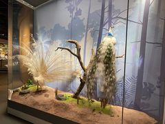 -陕西自然博物馆