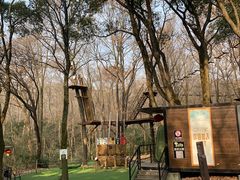 -WeLope紫金山探险公园