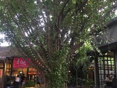 -莓园冰淇淋店