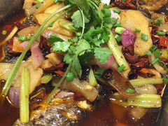 香辣味烤鱼-沈姐万州烤鱼(沙坪坝七中店)