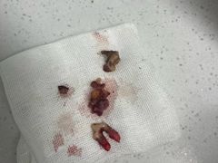-达爱动物医院·犬猫分区·CT·复杂眼科(远洋山水分院)