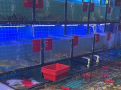 -鼓浪邻家·沙茶面(鼓浪屿店)