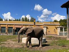 -哈尔滨北方森林动物园