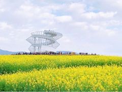 -光明小镇欢乐田园