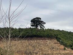 -红土地风景区