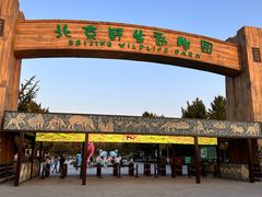 -北京野生动物园