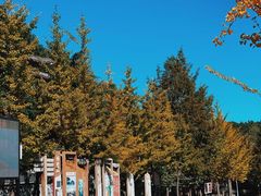 -洛阳白云山景区