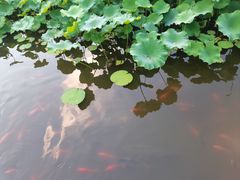 -龙头寺公园