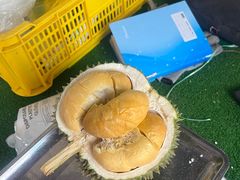 -麦哲伦丝绸度假村
