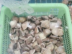 -和源祥·日照菜扛把子(万平口一店)