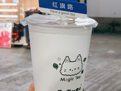 -猫的魔法密林(衣裳街店)