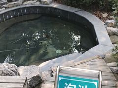 -江南天池高山汤泉城