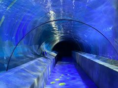 -太平洋海底世界