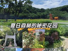 -苏州上方山国家森林公园