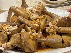 -百利鸽王(紫薇路店)