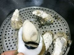 -蚝专家(北滘店)
