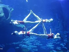 -多彩贵州城极地海洋世界