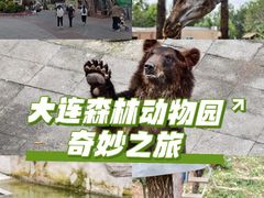 -大连森林动物园