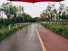 -天津东丽湖风景区