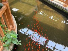 -南宫五洲植物乐园