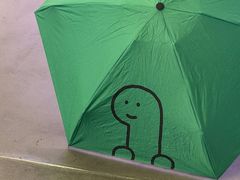 -line friends(明洞旗舰店)