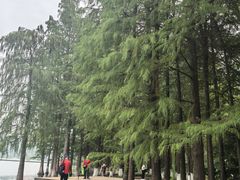 -重庆彩云湖湿地公园