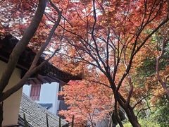 -幕燕滨江·燕子矶公园