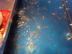 -钳真多钓虾馆·小龙虾海鲜烧烤(九六广场店)