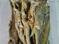 -狗撵鸭(泰山公寓店)