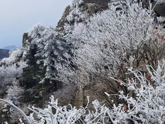 -泰山风景名胜区