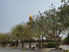 -广州莲花山旅游区