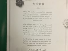 -新加坡航空公司(ION)