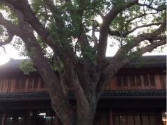 upload_pic-普陀山风景名胜区-法雨禅寺