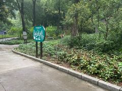 -柳州市动物园