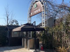 -金山农民画村-枫泾波兰倒置屋