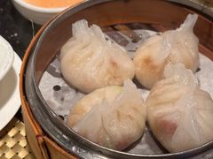 -金燕岛潮州酒楼