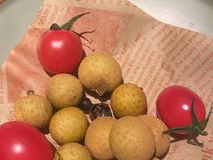 -季季山•云南野生菌火锅(上海首店)