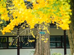 -苏州碑刻博物馆