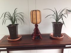 -北京古城老院厉晓麟精致菜