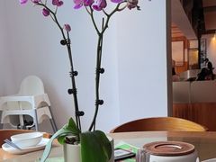 -汝是素•文创素食馆(金月湾店)