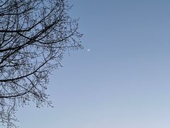 -盛江山自助料理(奥莱锦辉购物广场店)