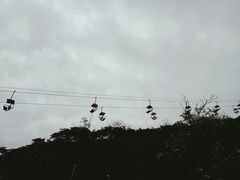 -富斯特索道