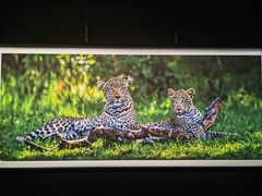 -罗红摄影艺术馆