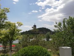 -永定河休闲森林公园