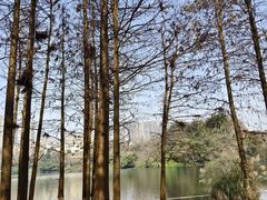 -重庆彩云湖湿地公园