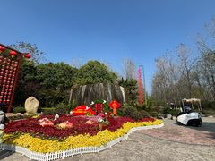 -合肥滨湖国家森林公园