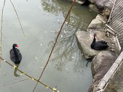 -径山花海